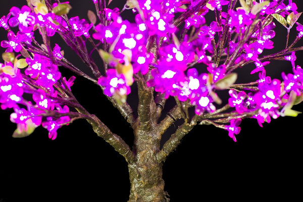 Bright Baum - 2 ft. Artificial Blue LED Cherry Blossom Bonsai – Bright Baum  Inc.